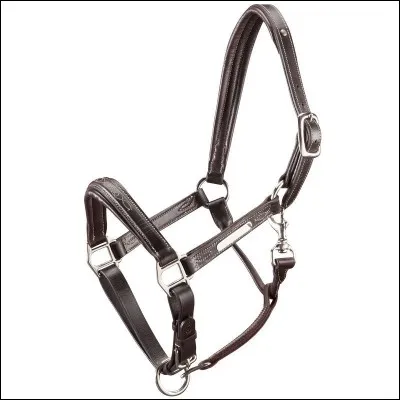 Comment se nomme cet harnachement ?