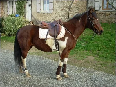 Sur quelle partie ne faut-il pas s'asseoir ?