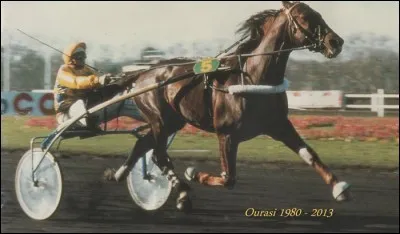 Quelle était la race d'Ourasi❓