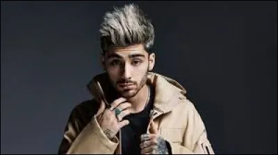 Qui est ce chanteur ?