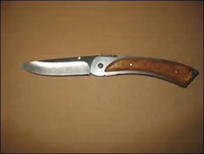 En langage argotique comment désigne-t-on notamment un couteau ?