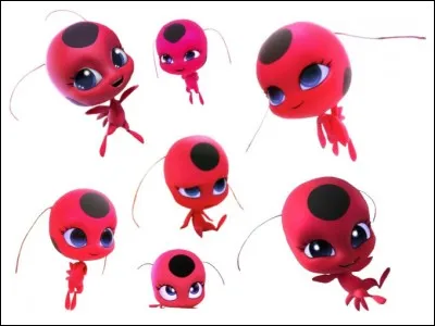 Quel est le prénom du kwamie qui lui permet de se transformer en Ladybug ?