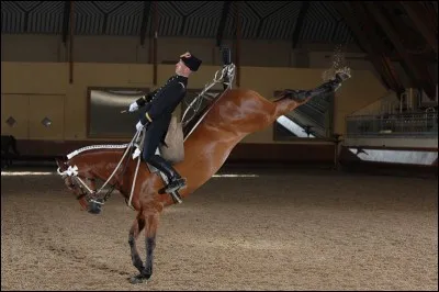 Sur cette photo, le cheval du Cadre Noir de Saumur effectue :