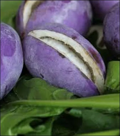 Ce beau fruit vient :