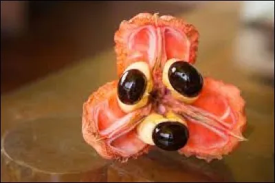 Quelle partie de ce fruit peut-on manger ?