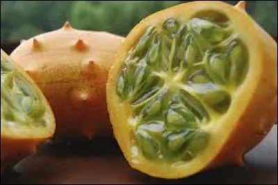 Sur lequel de ces continents ne trouverez-vous pas de kiwanos ?