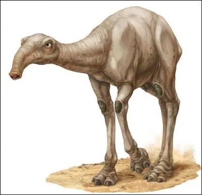 Sur quelle planète peut-on voir des Eopies ?