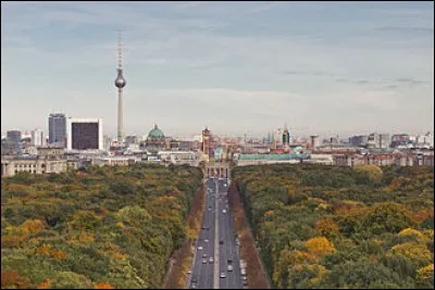 L'ours est symbole de la ville de Berlin.