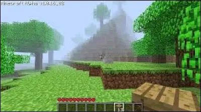 The first time a player saw Herobrine was in a multiplayer game.