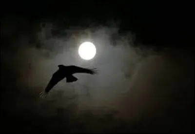 "La Nuit" est une nouvelle de...