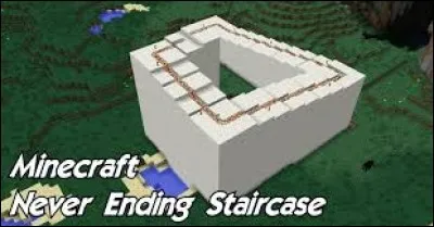 Est-ce possible à réaliser dans "Minecraft" ?
Comment s'appelle cette illusion ?