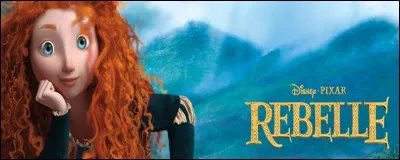 Comment se nomme la princesse dans ce film d'animation ?