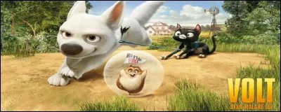 Comment se nomme le hamster, fidèle ami de Volt ?