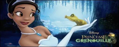 Comment se nomme la princesse dans ce film d'animation ?