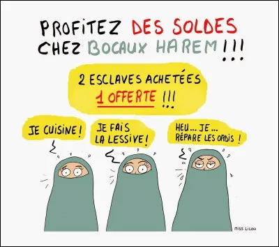 Les hommes qui ont plusieurs femmes sont ...