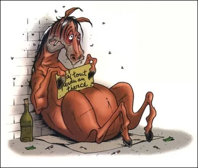 On dit "des chevaux" ...