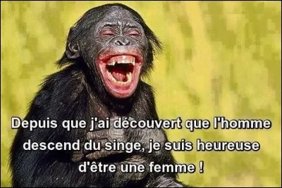 Si l'homme s'est mis à enterrer ses morts dans la terre, c'est pour se différencier des singes ...