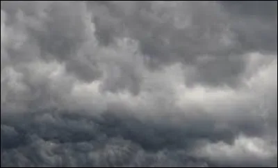 "Grün" signifie "gris" en allemand.