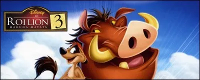 Que raconte "Le Roi Lion 3" ?