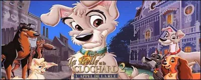 La Belle et le Clochard ont eu des chiots. Parmi la portée, il y a eu un seul mâle. Comment se nomme-t-il ?