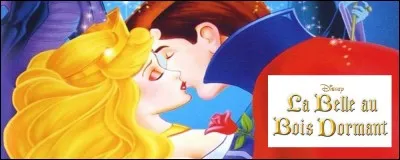 Comment se nomme la méchante femme dans ce film d'animation ?