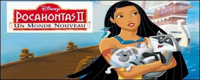 Pour quelle raison Pocahontas navigue-t-elle jusqu'en Europe ?