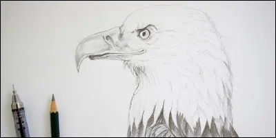 Si jamais on te demandait de dessiner un objet que tu aimes bien, tu dessinerais :