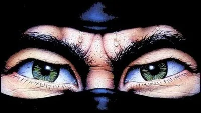 Immense succès sorti en 1987, grâce notamment à de très bons graphismes et à une musique de grande qualité.
A qui sont ces yeux ?