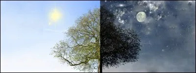 Pendant l'hiver, est-ce la nuit ou le jour qui est la/le plus long(ue) ?