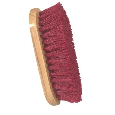Comment s'appelle cette brosse ?