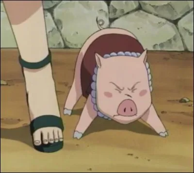 Quel est le prénom du cochon de Shizune ?