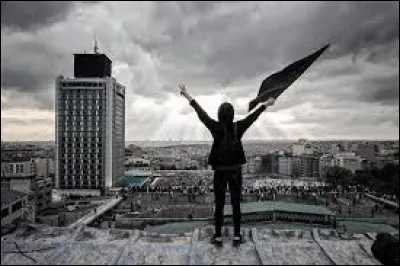 Quelle est la couleur du drapeau des anarchistes ?