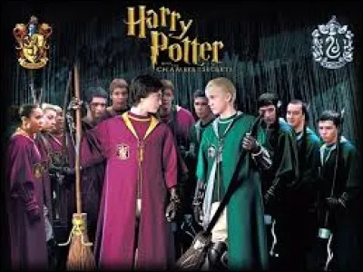 Quel elfe vint chez Harry ?