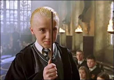 À qui appartenait Miss Teigne, première pétrifiée ?