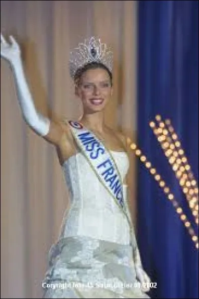 Comment Miss France 2002 s'appelle-t-elle ? Et quelle région a-t-elle représentée ?