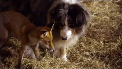 Beaucoup plus calme, cette émission de France 2 !