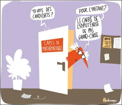 Que signifie CAPES ?