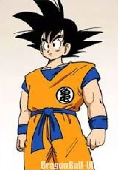 Contre qui Son Goku ne s'est-il jamais battu ?