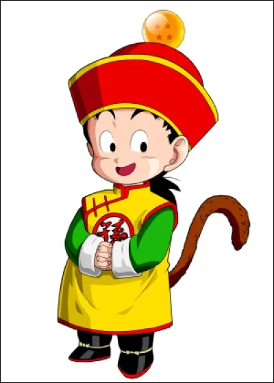 Comment s'appelle le fils de Son Goku et Chichi ?