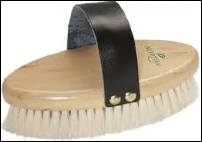 Comment s'appelle ce matériel de pansage ?