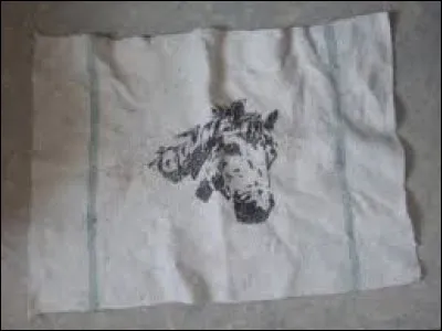 Comment s'appelle ce matériel de pansage ?