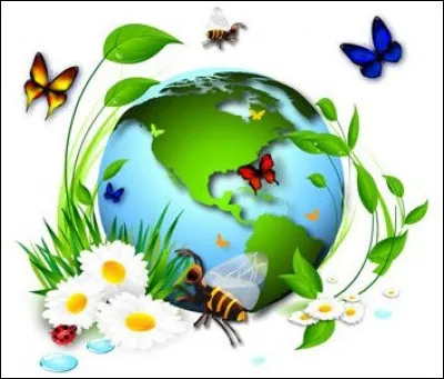 La forêt du bassin du Congo est la plus grande forêt en biodiversité.