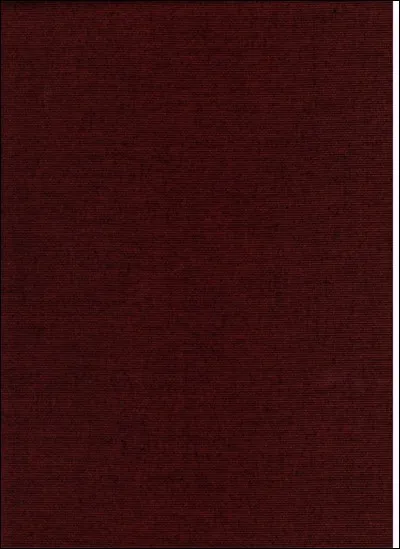 Le marron est une couleur primaire.