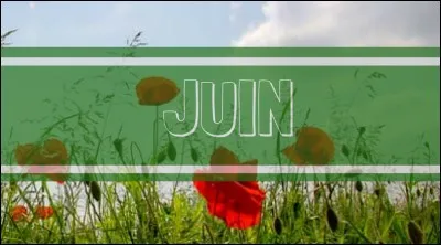 De quelle personne de ta famille est-ce la fête en juin ?