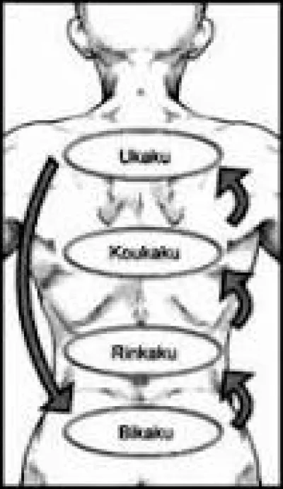 Quel est le type de Kagune de Ken Kaneki ?