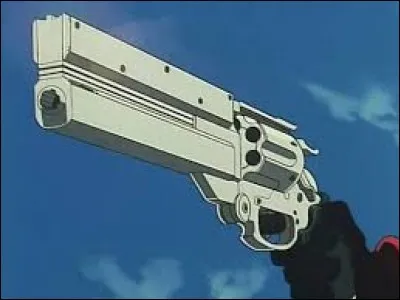 Comment s'appelle l'arme favorite de Vash ?