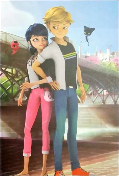 Quel est le miraculous de Chat Noir ?