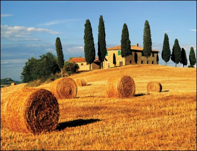 Le paysage toscan se compose de collines, de cyprès, d'oliviers, de jardins en terrasse, de vignes et ... ?