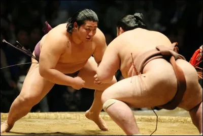 Que mangent les sumos ?