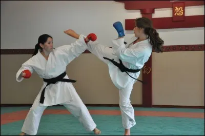 Quel art martial est japonais ?